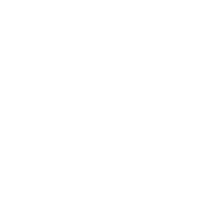 European Commission